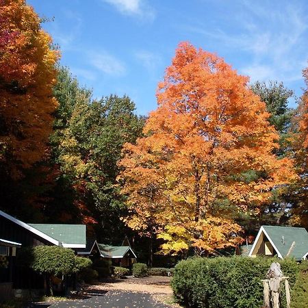 Amber Lantern Efficiency Cottage بحيرة جورج المظهر الخارجي الصورة