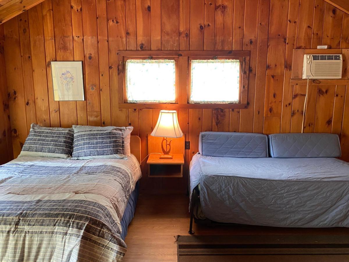 Amber Lantern Efficiency Cottage بحيرة جورج المظهر الخارجي الصورة
