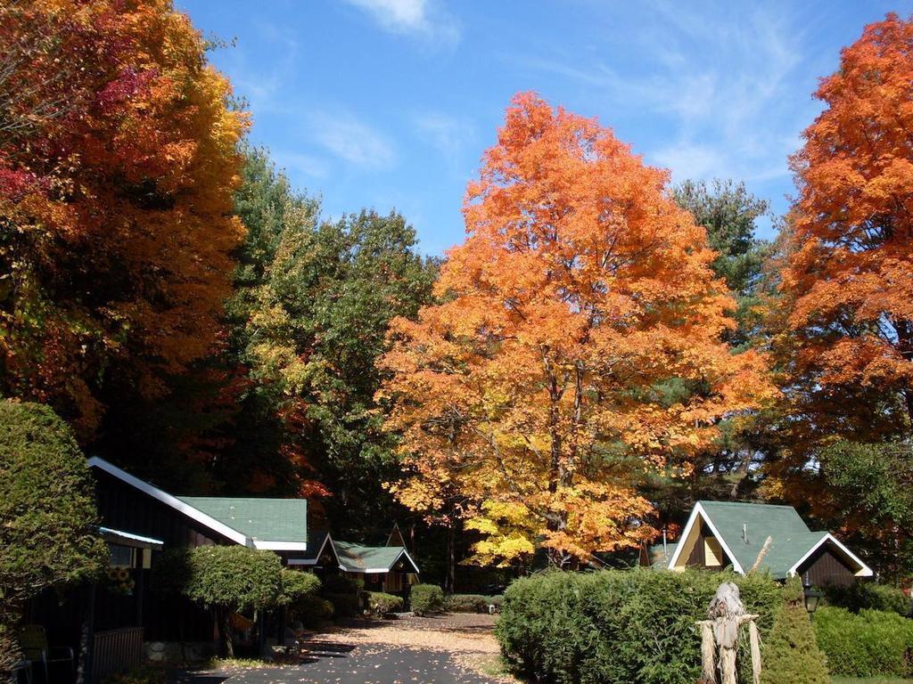 Amber Lantern Efficiency Cottage بحيرة جورج المظهر الخارجي الصورة