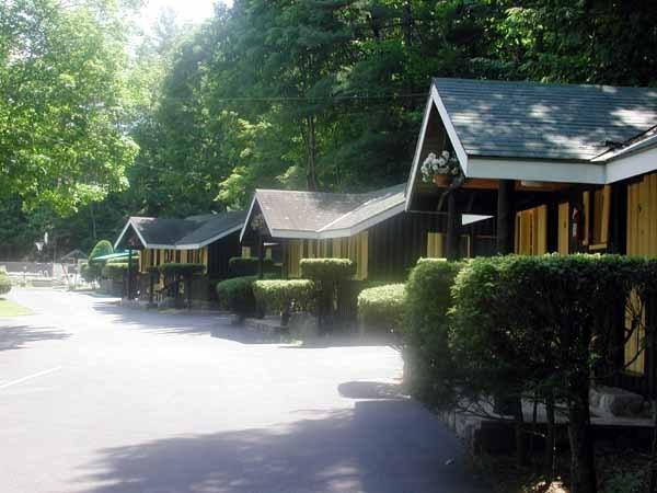 Amber Lantern Efficiency Cottage بحيرة جورج المظهر الخارجي الصورة